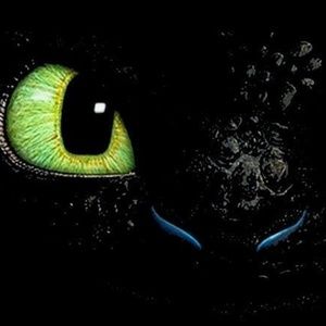 Meet your Posher, Tony